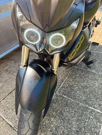 Z1000 black ediction