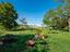 Immagine 26