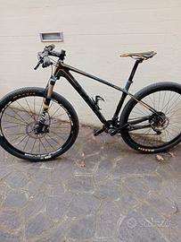 bicicletta Mountain bike Focus modello raven