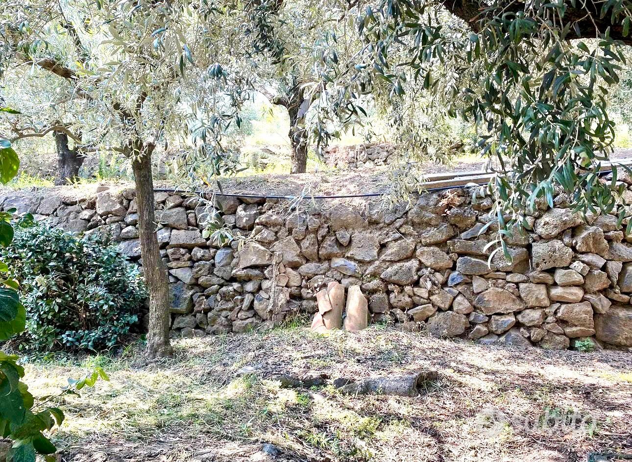 Casetta di campagna Panoramica - Altro
