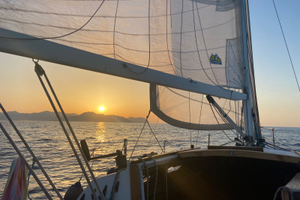 Stag 29 - 18cv - Perfetta