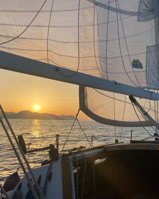 Stag 29 - 18cv - Vendita Immediata