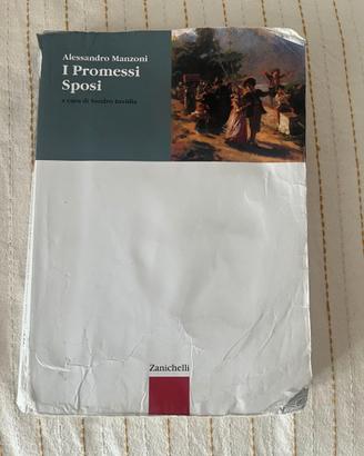 I Promessi sposi