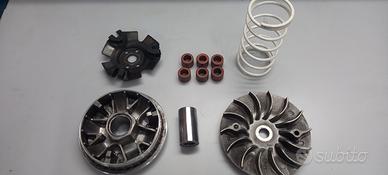 Variatore Malossi Multivar 2000 per Honda SH