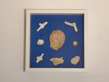 Quadro con oggetti marini naturali