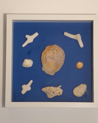 Quadro con oggetti marini naturali