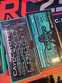  2 x batterie lipo hv cayote mid 7200 145c
