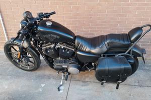 Harley davidson 883 iron