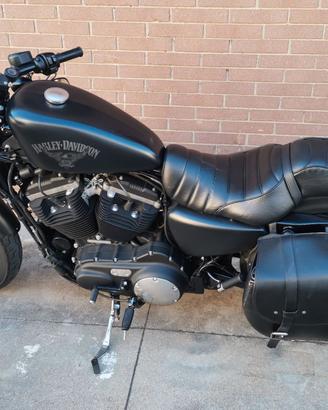 Harley davidson 883 iron