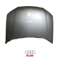 COFANO ANTERIORE AUDI A3 Sportback Serie (8PA) (04