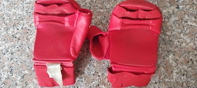 Protezioni Karate Judo Arti marziali FUJLKAM