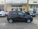 fiat-panda-1-2-lounge