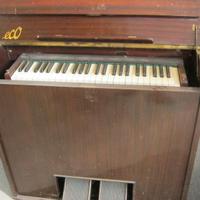 organo funzionante