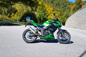  Kawasaki Z300 ABS