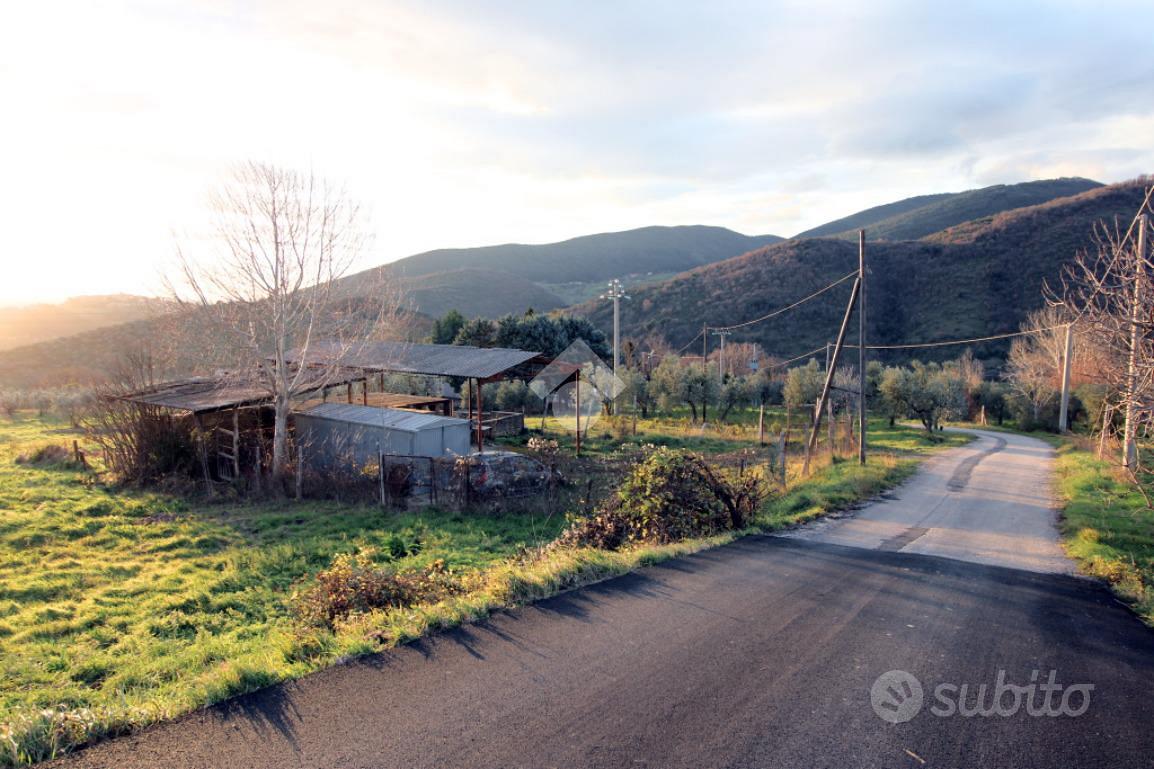 TER. AGRICOLO A MOMPEO - Altro