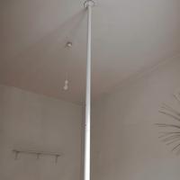Palo Venus Apole poledance
