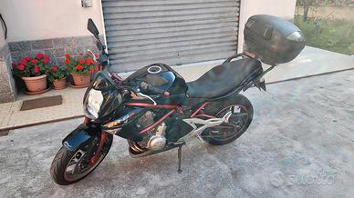 Kawasaki ER-6n (650cc - 2007)