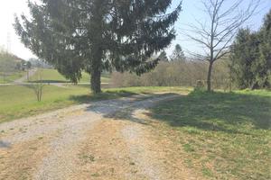 NERVESA -S.Croce Montello Casa e Terreno - 650NER