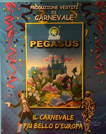 Vestito carnevale bimba Fragolina linea Pegasus
