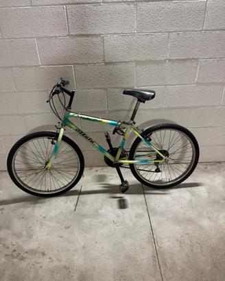 Bicicletta da bambino