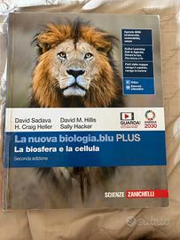 Libri scuola Superiore 