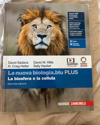 Libri scuola Superiore 