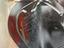 Immagine 15