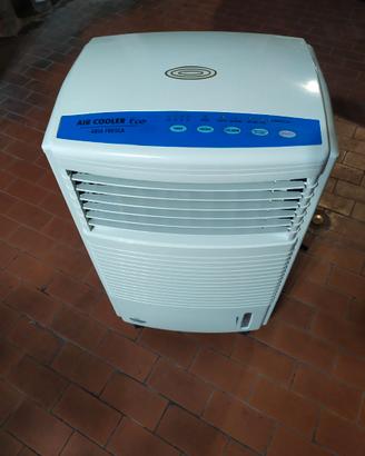 Raffrescatore 100 gradi Fiseldem