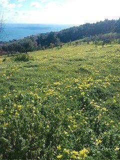 Terreno in Località secolare, 20 - Vista 5