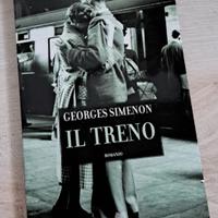 libro il teno di georges simenon