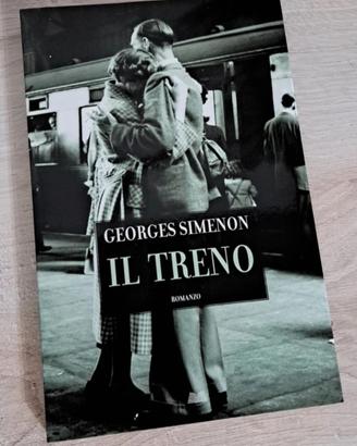 libro il teno di georges simenon