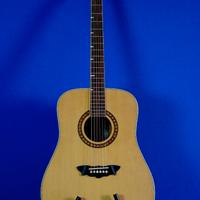 CHITARRA ACUSTICA WASHBURN 2002