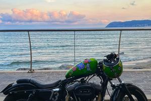 harley sportster 1200 48