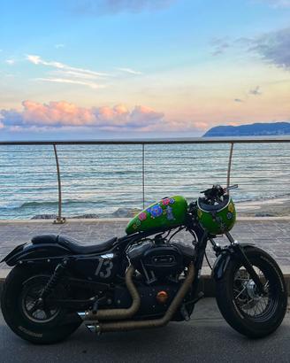 harley sportster 1200 48