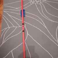 Canna bolognese Daiwa