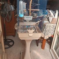 gabbia per pappagalli 