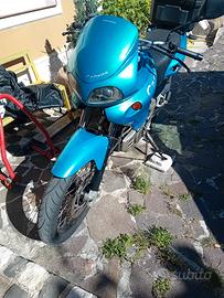  cagiva canyon 500