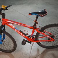 Bicicletta Torpado raggio 26