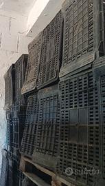 Casse in plastica 800 casse 1 euro a cassa