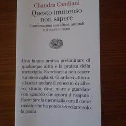 Libro " Questo immenso non sapere" di C. Candiani