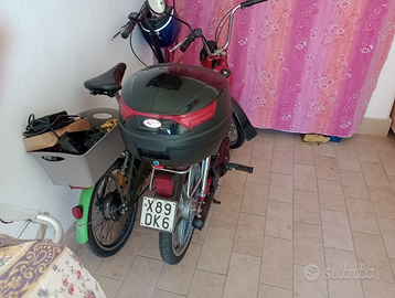 Ciclomotore 50 Cimatti Oasi