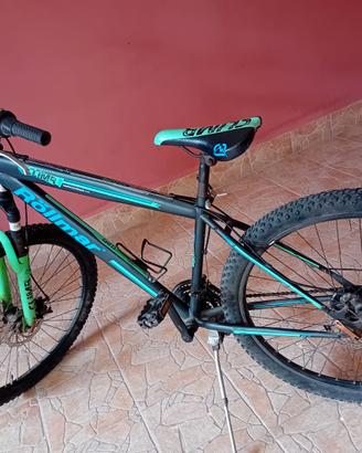 Bici rollmar
