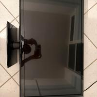 Panasonic TX-L32B6E 32 pollici.