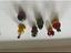 Immagine 5