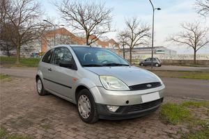 Ford fiesta neopatentati