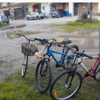 Bici donna e bici donna vintage, mountain bike,BMX
