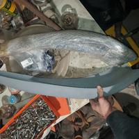 coppia labbri aggiuntivi e 46 splitter