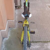 Bicicletta 24 pollici