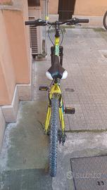 Bicicletta 24 pollici