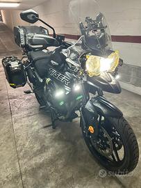 Triumph-tiger 800 xrx